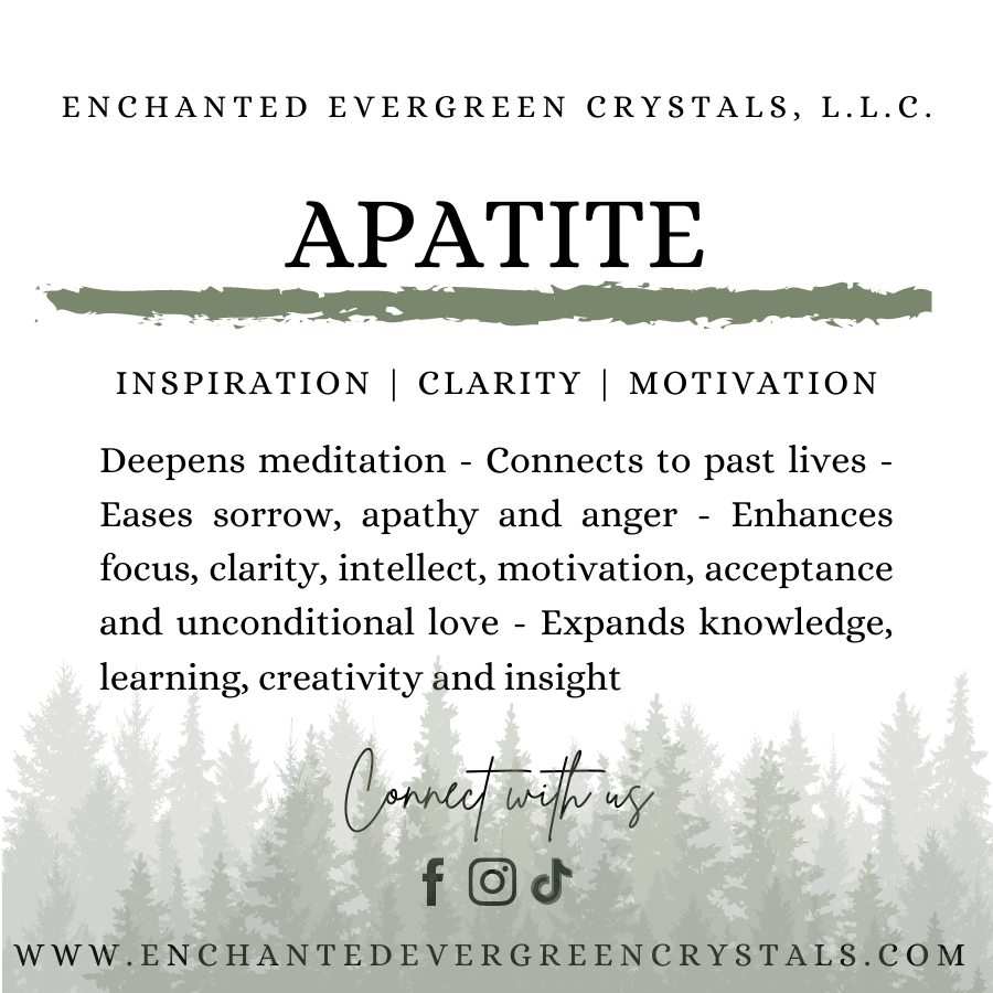 Blue Apatite | 8mm | Bracelet