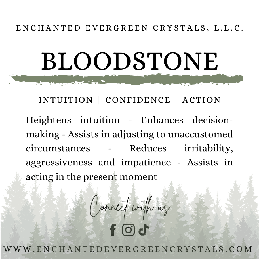 Bloodstone | 8mm | Faceted | Bracelet