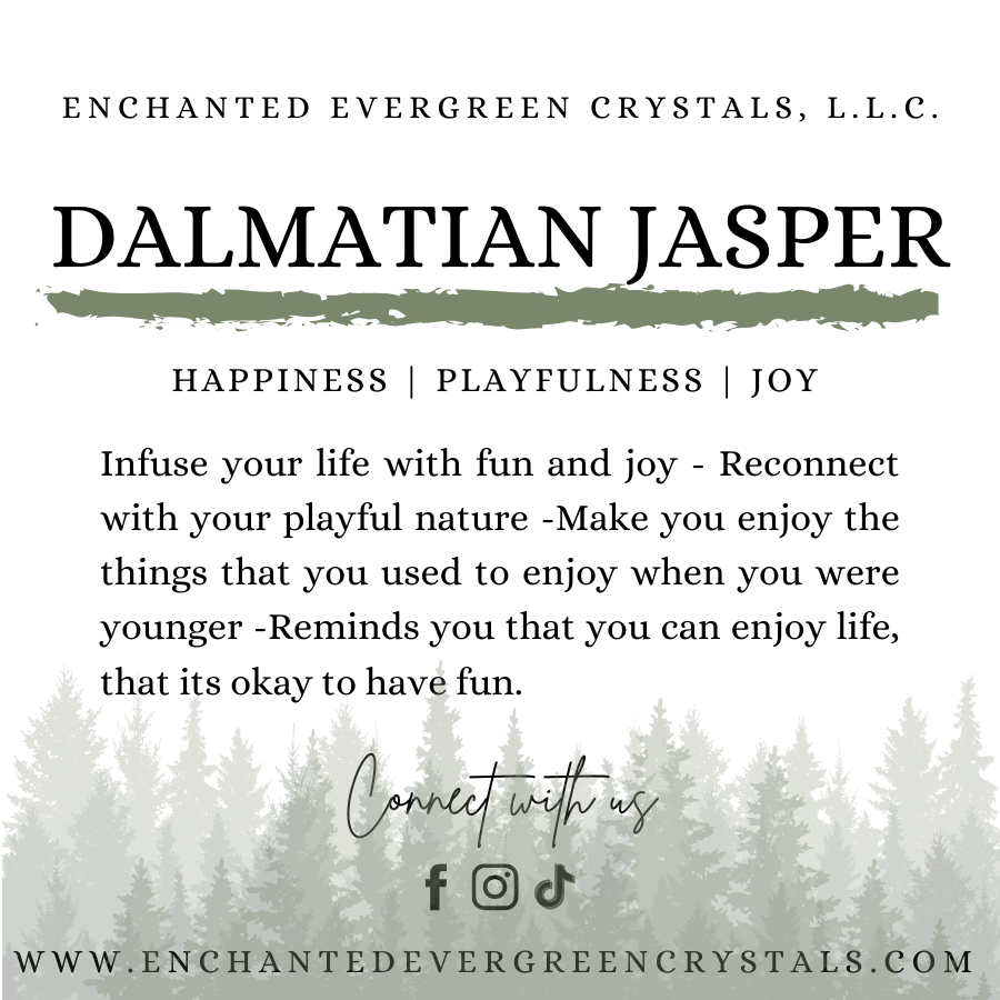 Dalmatian Jasper Point | A18