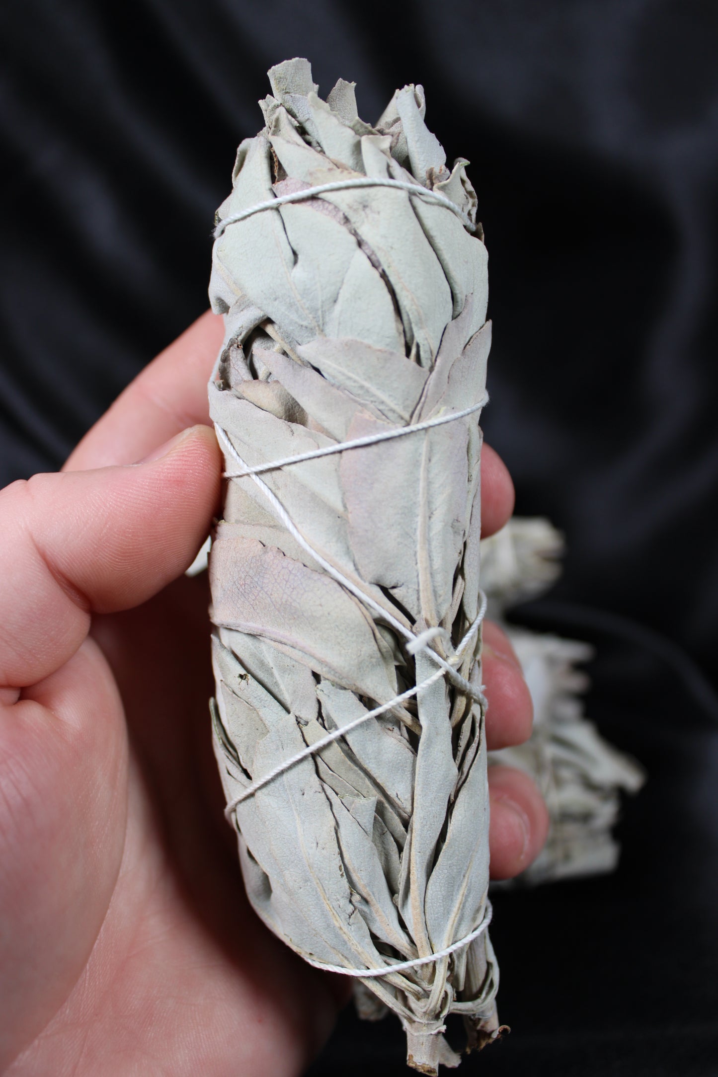 White Sage | 4 Inch Bundle