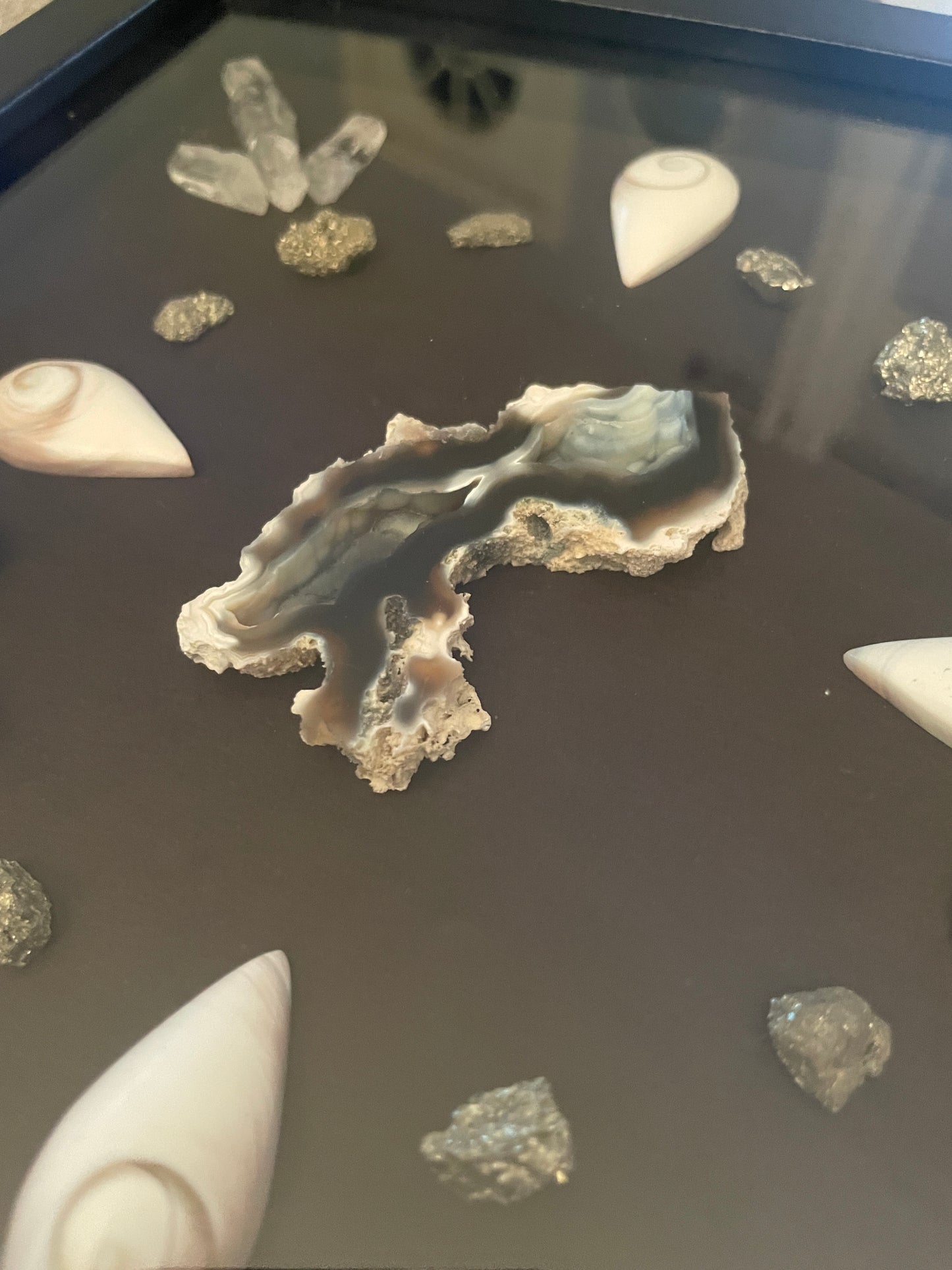 Wall Art 108 - Fossilized Coral | Eye of Shiva | Quartz | Pyrite