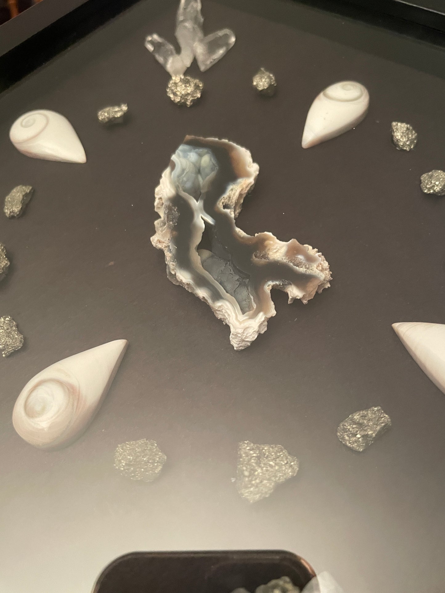 Wall Art 108 - Fossilized Coral | Eye of Shiva | Quartz | Pyrite