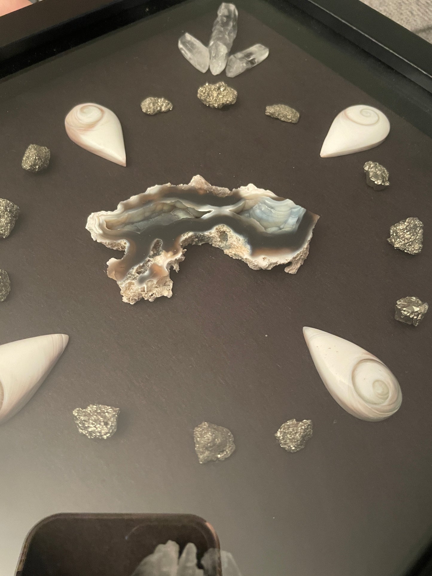 Wall Art 108 - Fossilized Coral | Eye of Shiva | Quartz | Pyrite