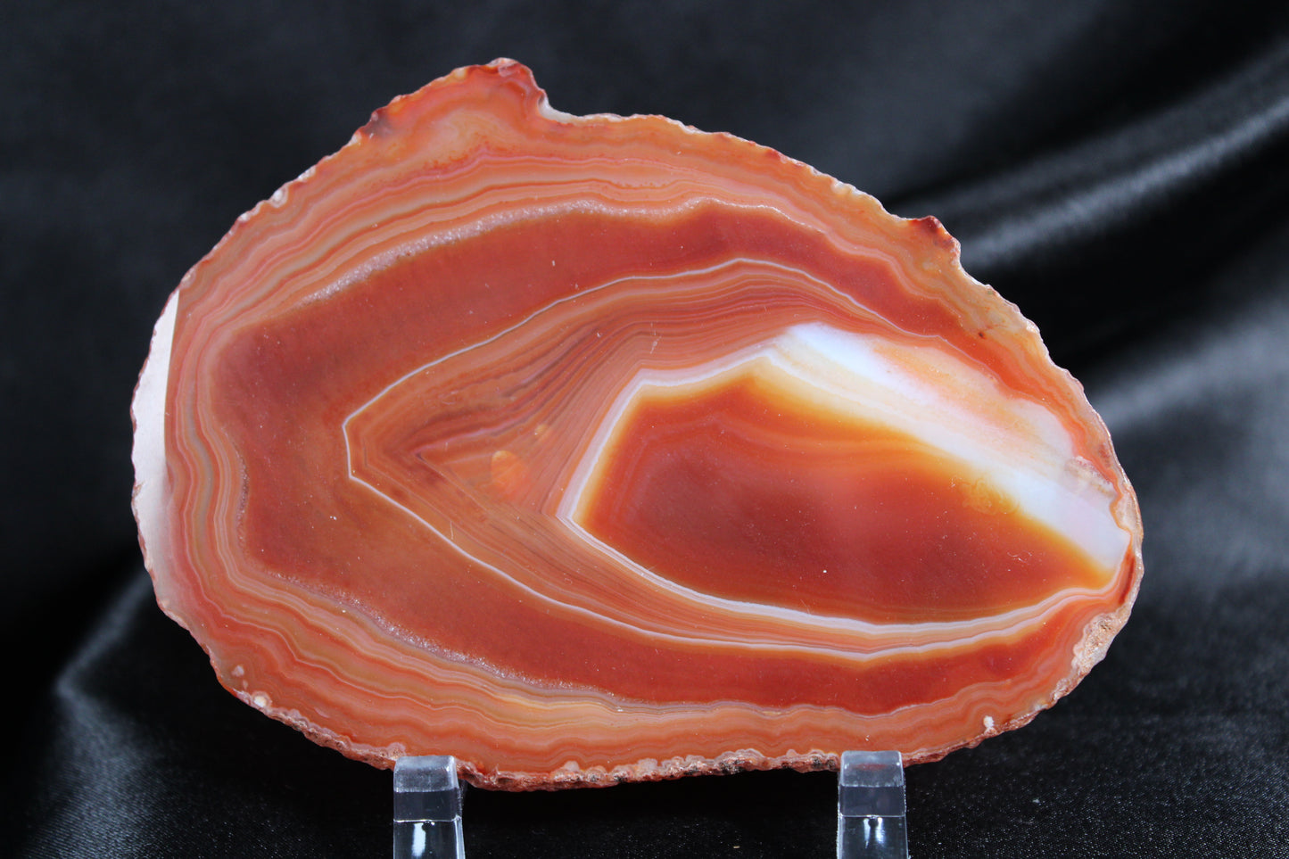 Agate Slice | G7