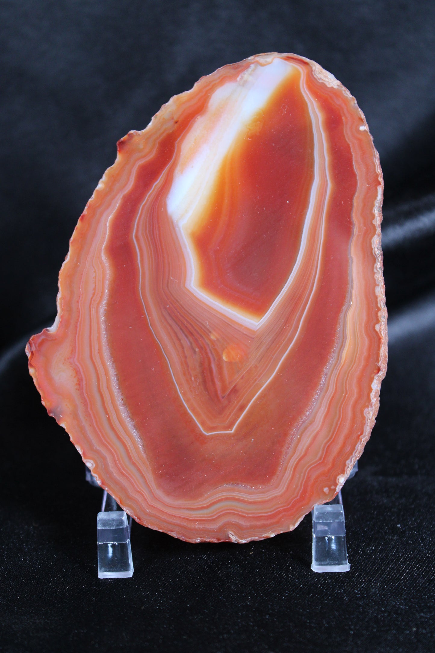 Agate Slice | G7