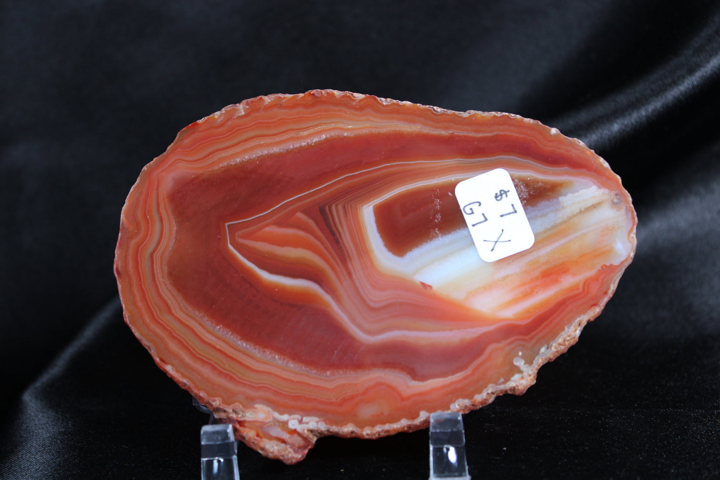 Agate Slice | G7