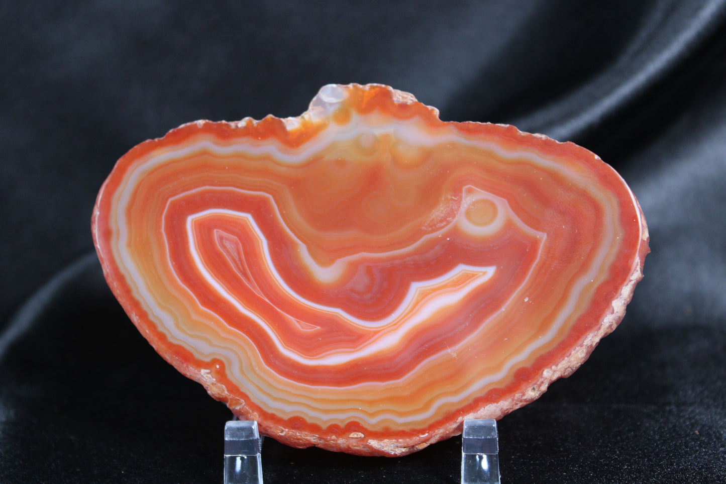 Agate Slice | F7