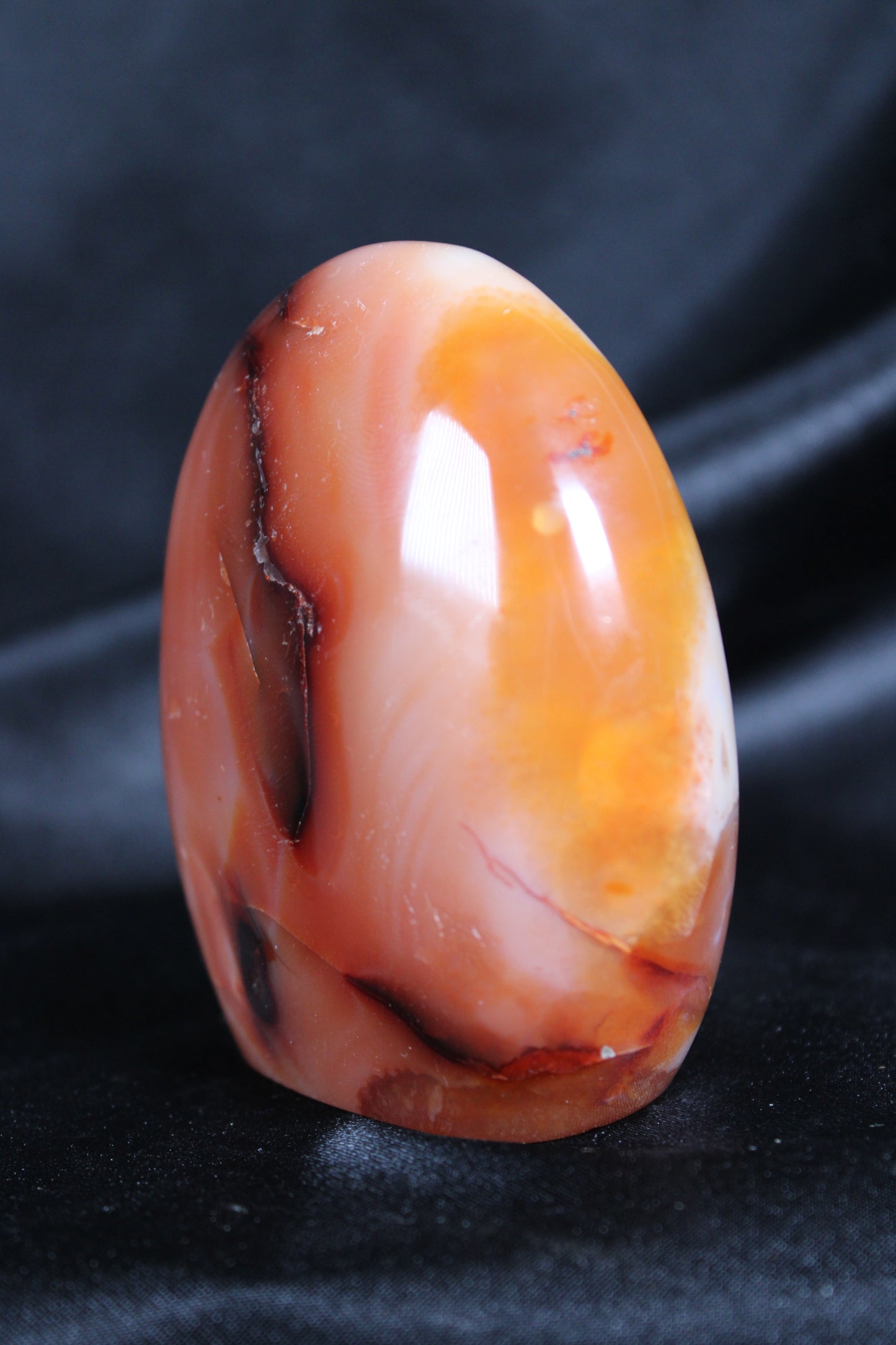 Carnelian | Freeform | C22