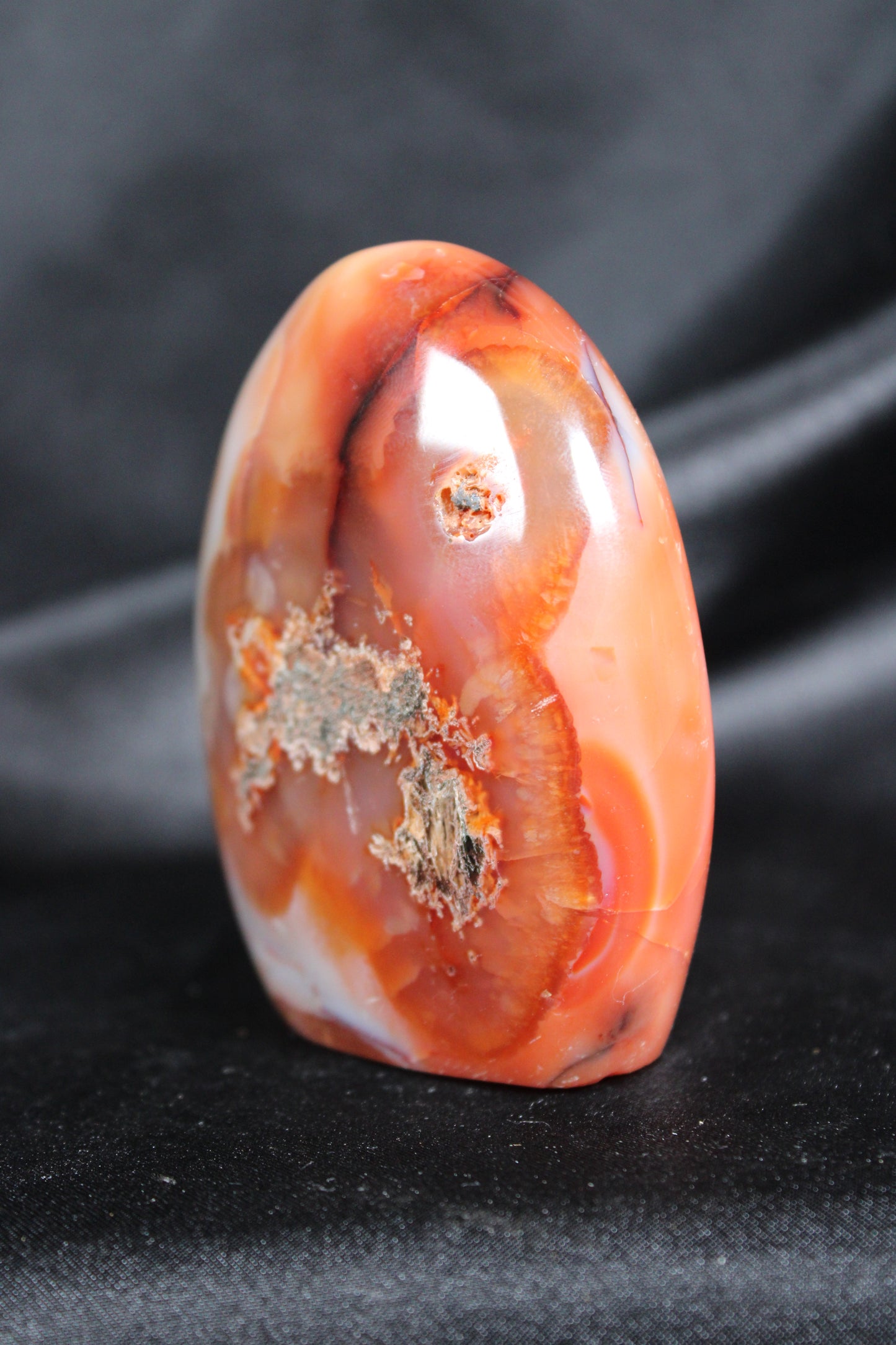 Carnelian | Freeform | C22
