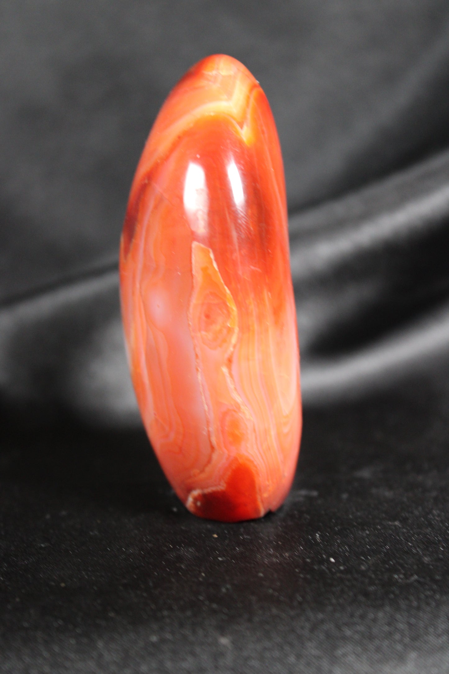 Carnelian | Freeform | D20