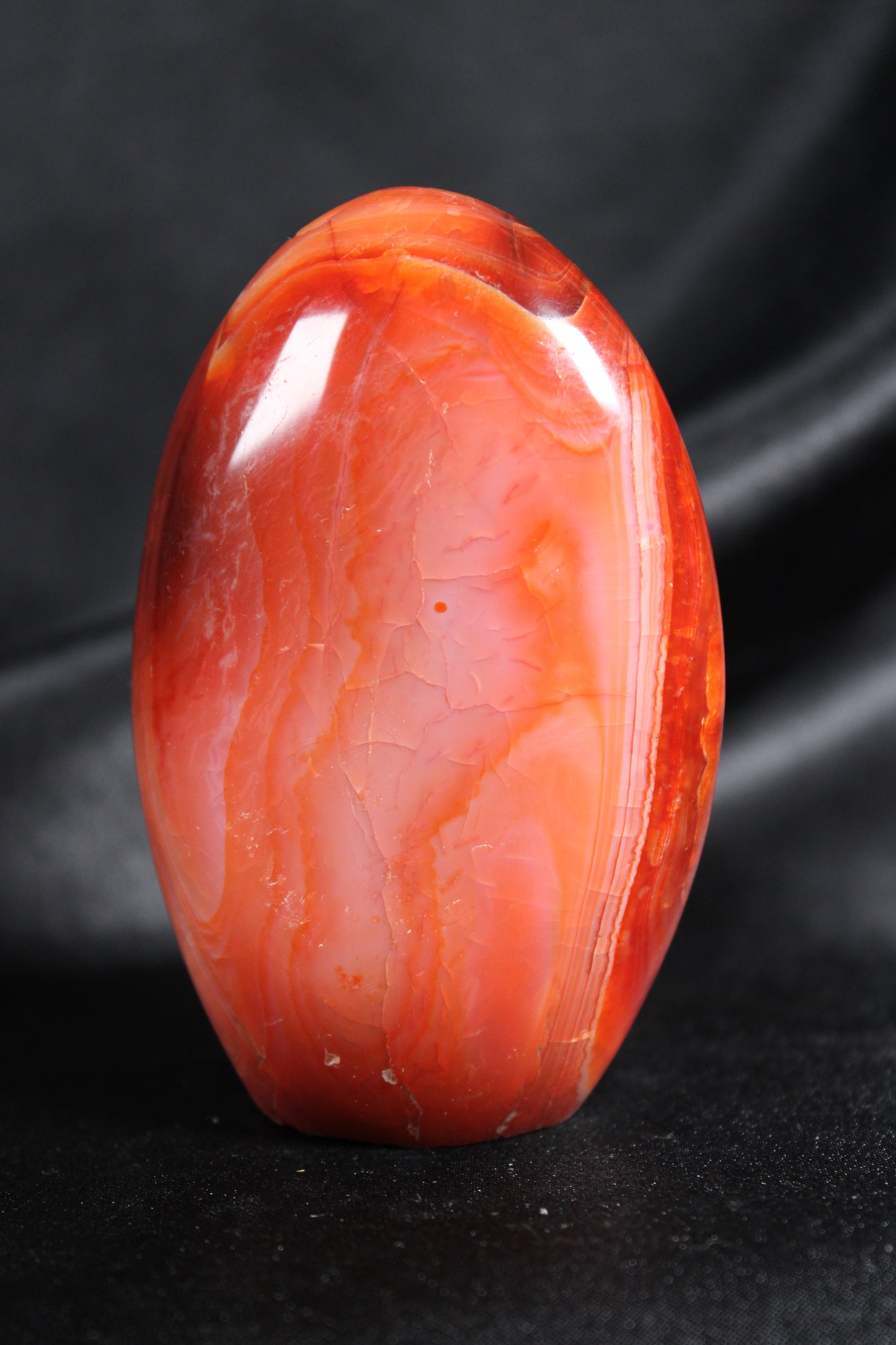Carnelian | Freeform | D20