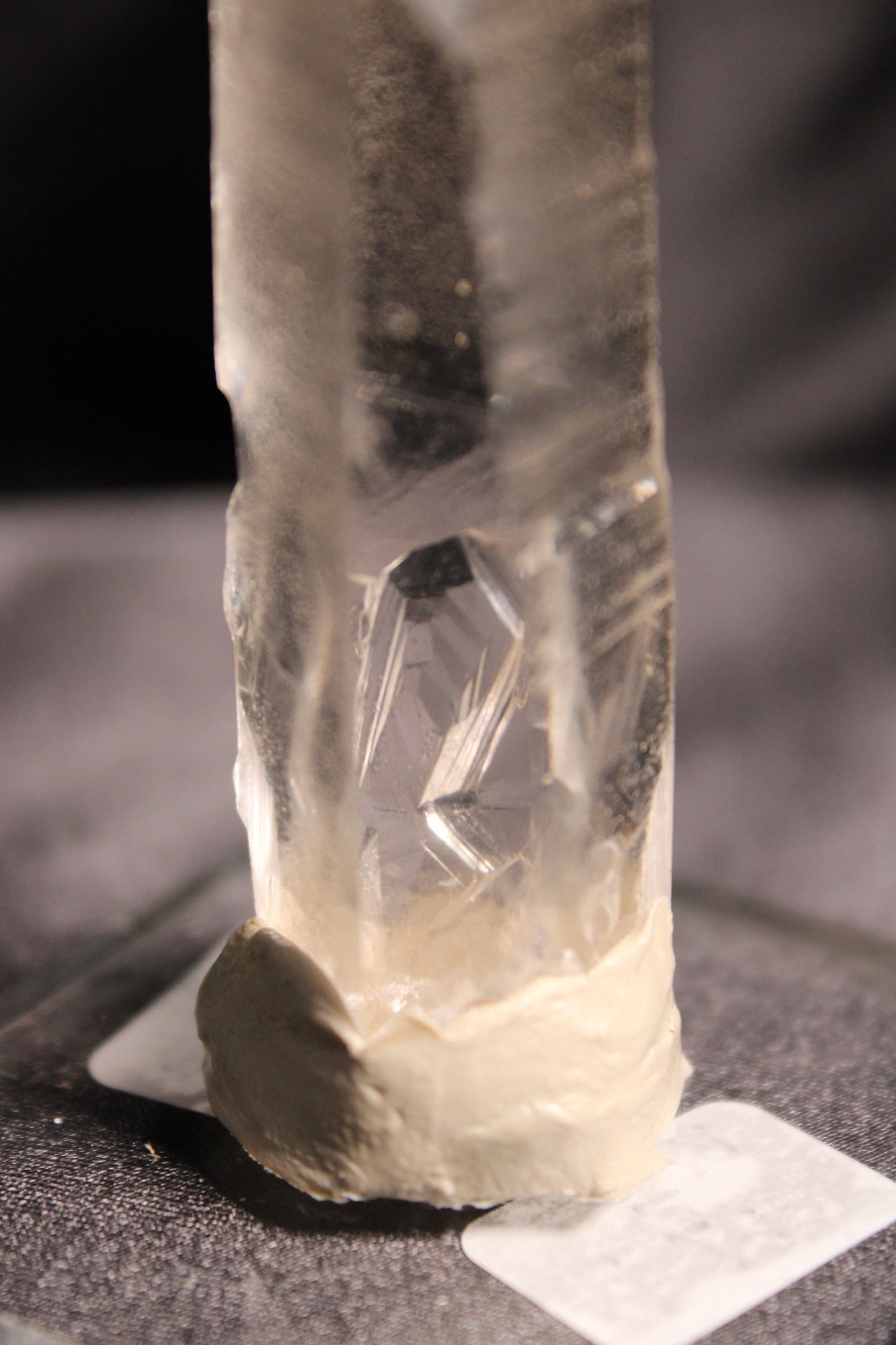 Columbian Lemurian | F29 w/stand