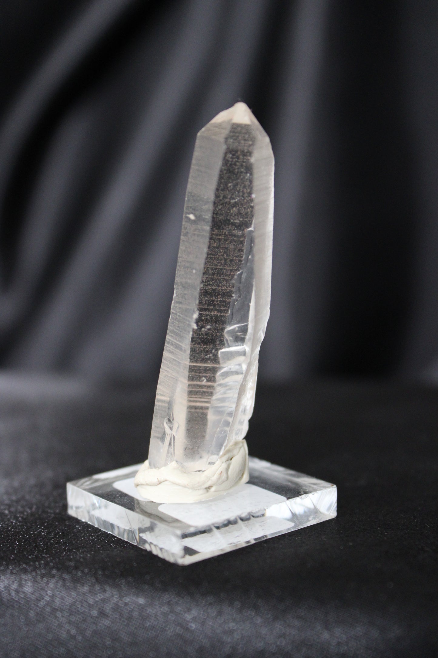 Columbian Lemurian | D18 w/stand