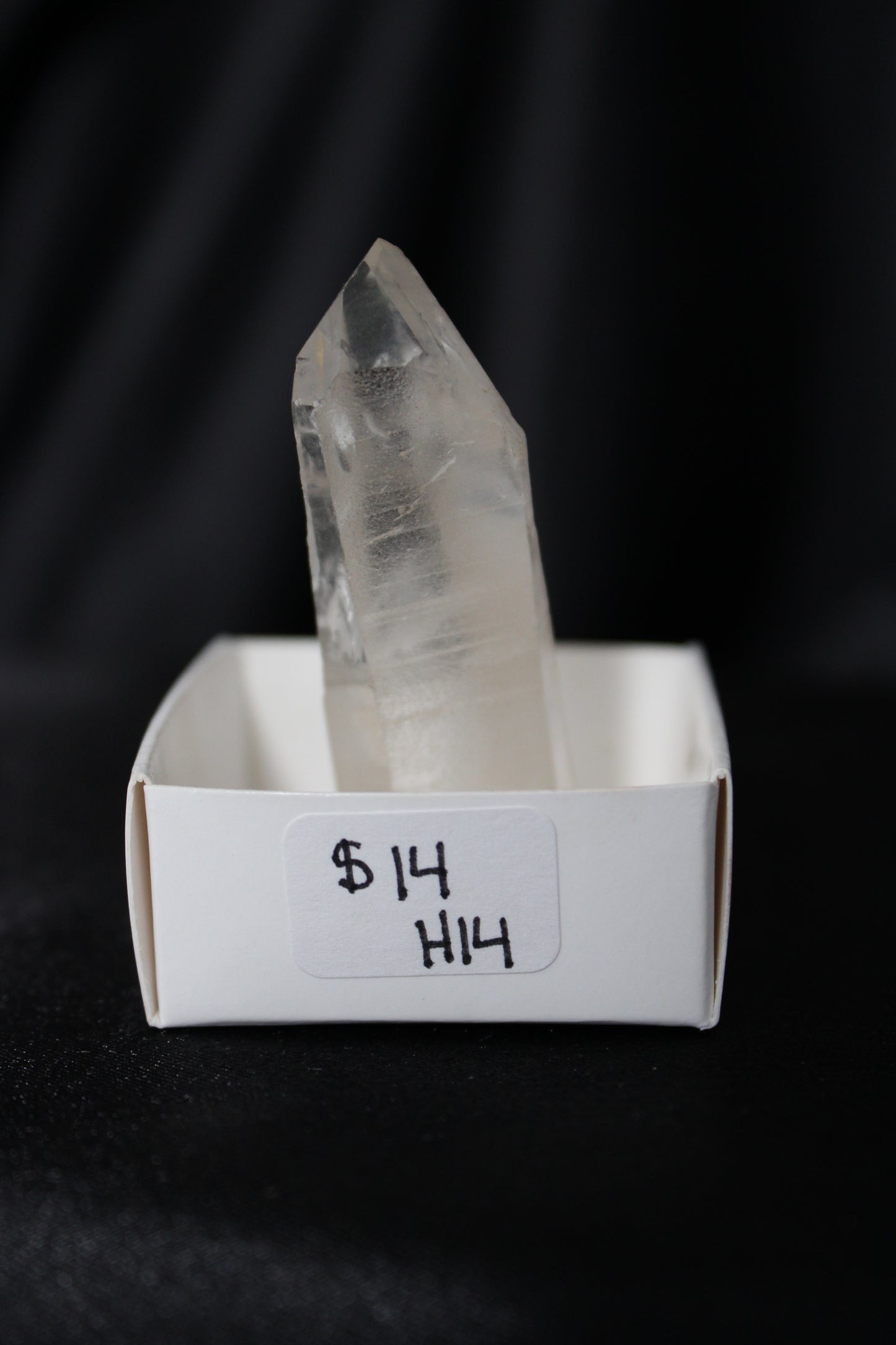 Columbian Lemurian | H14