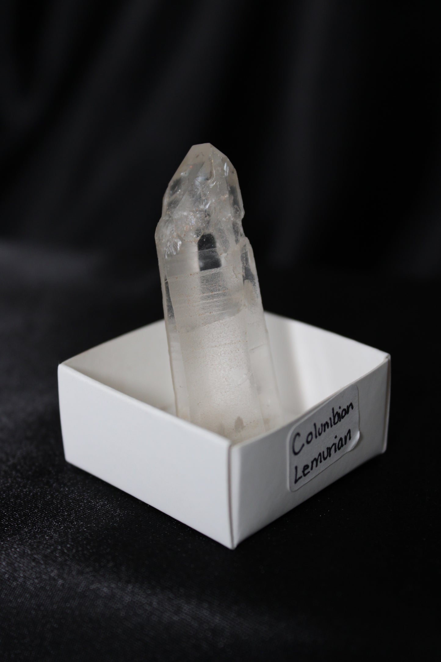 Columbian Lemurian | H14