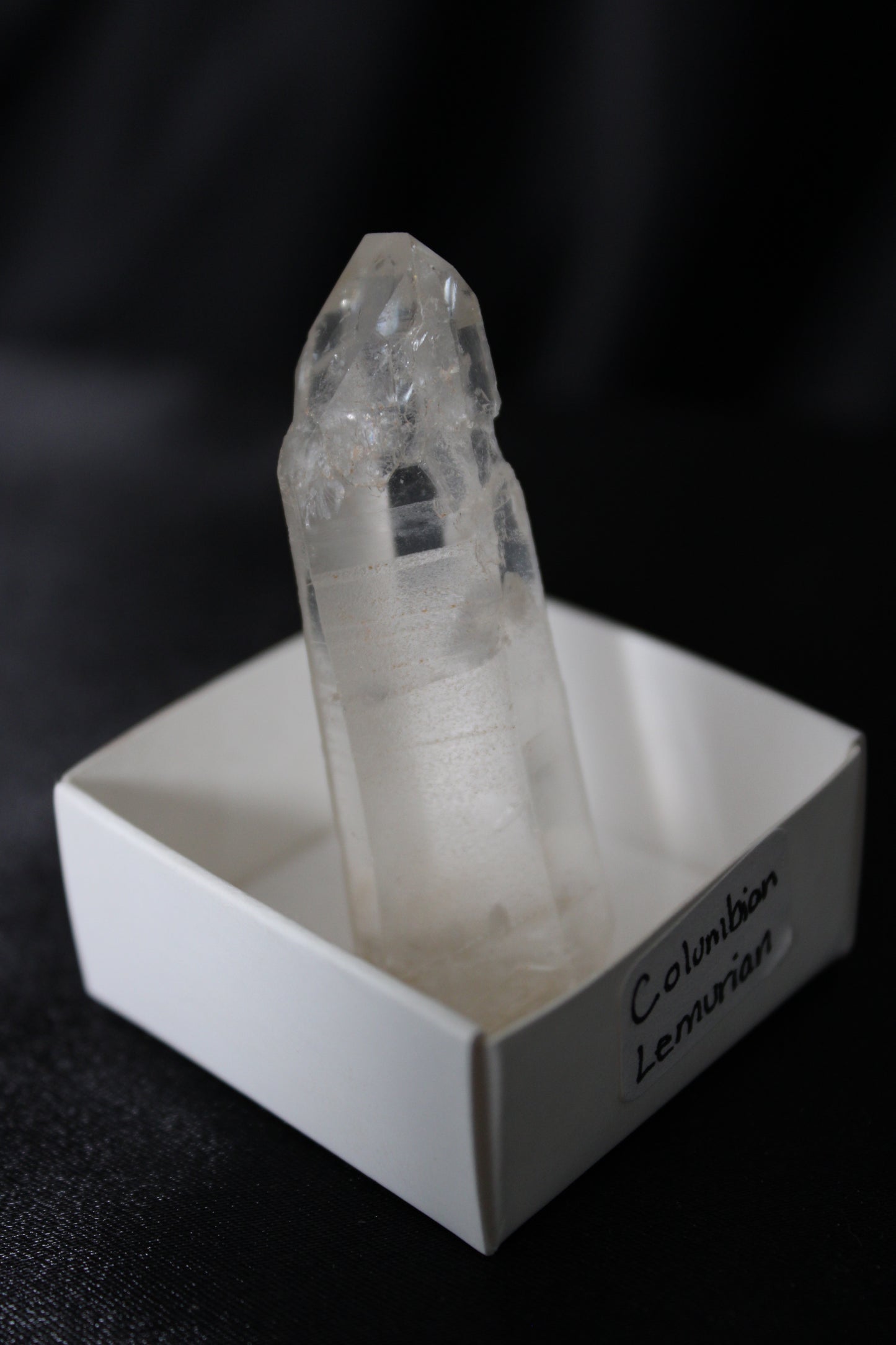 Columbian Lemurian | H14