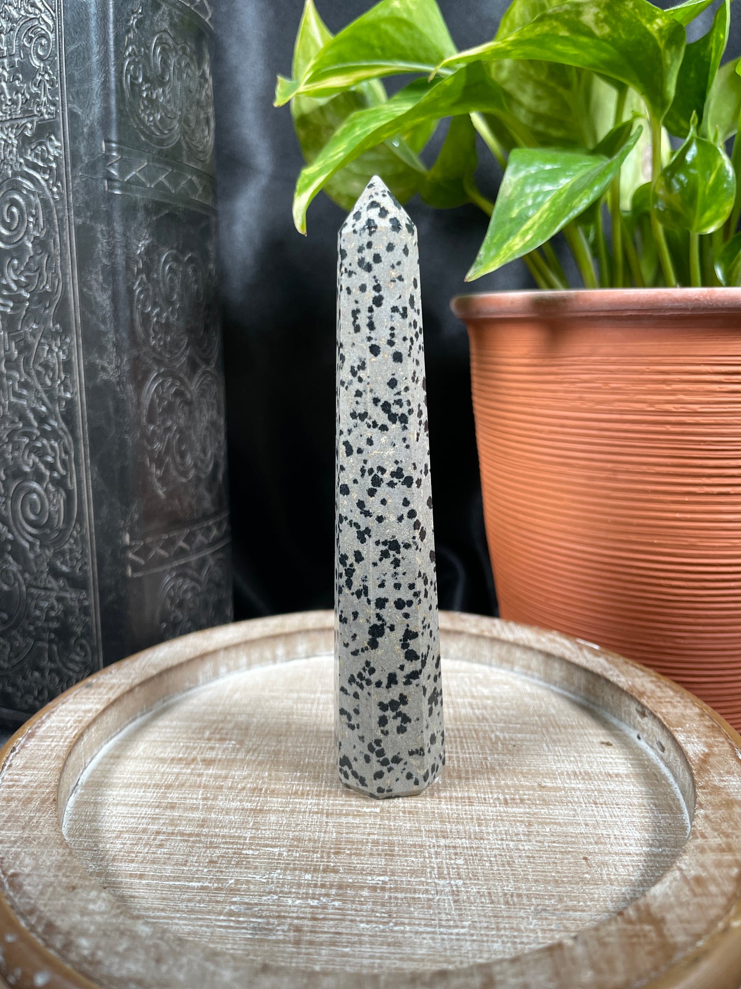 Dalmatian Jasper Point | A18