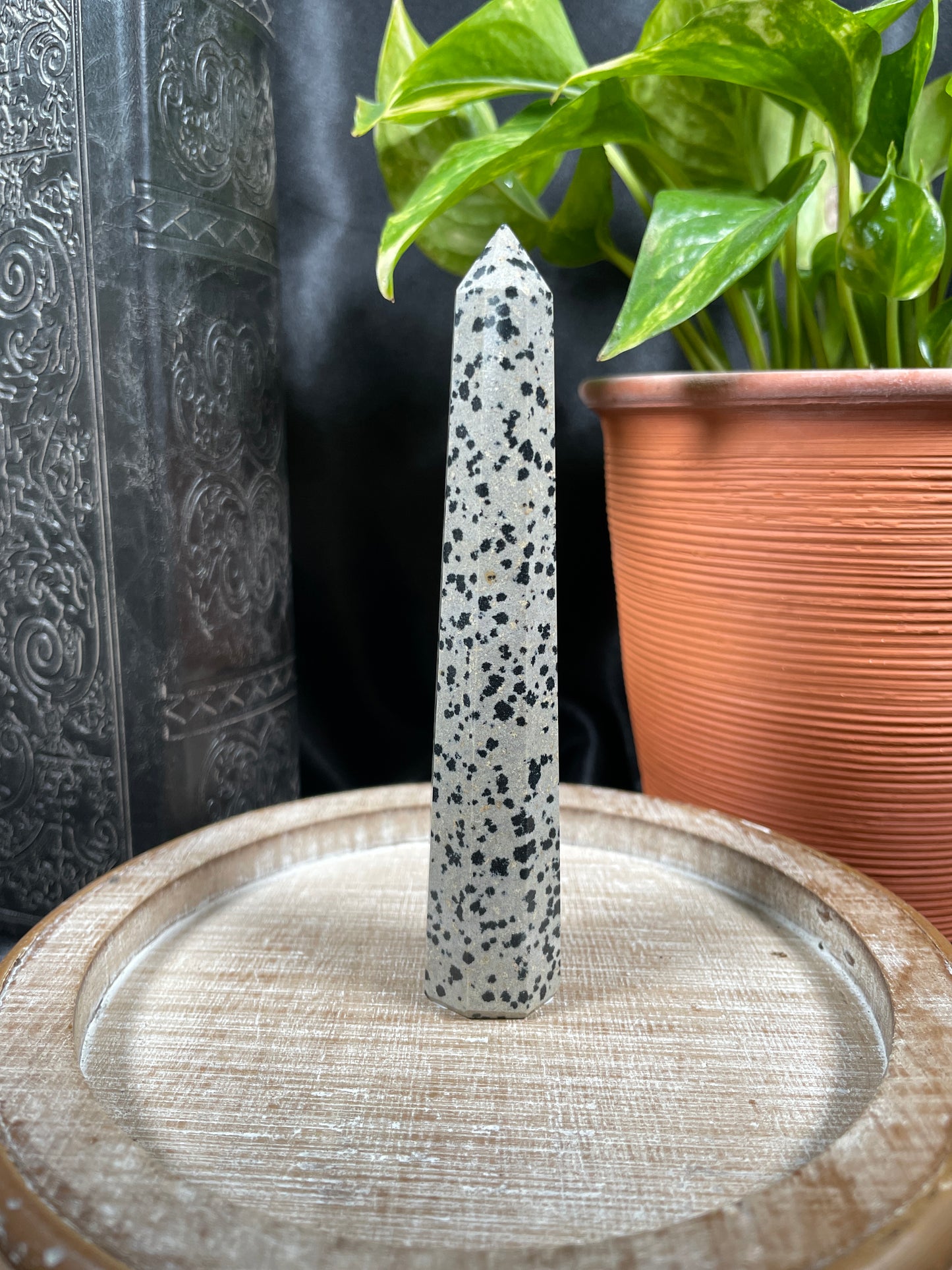 Dalmatian Jasper Point | A18