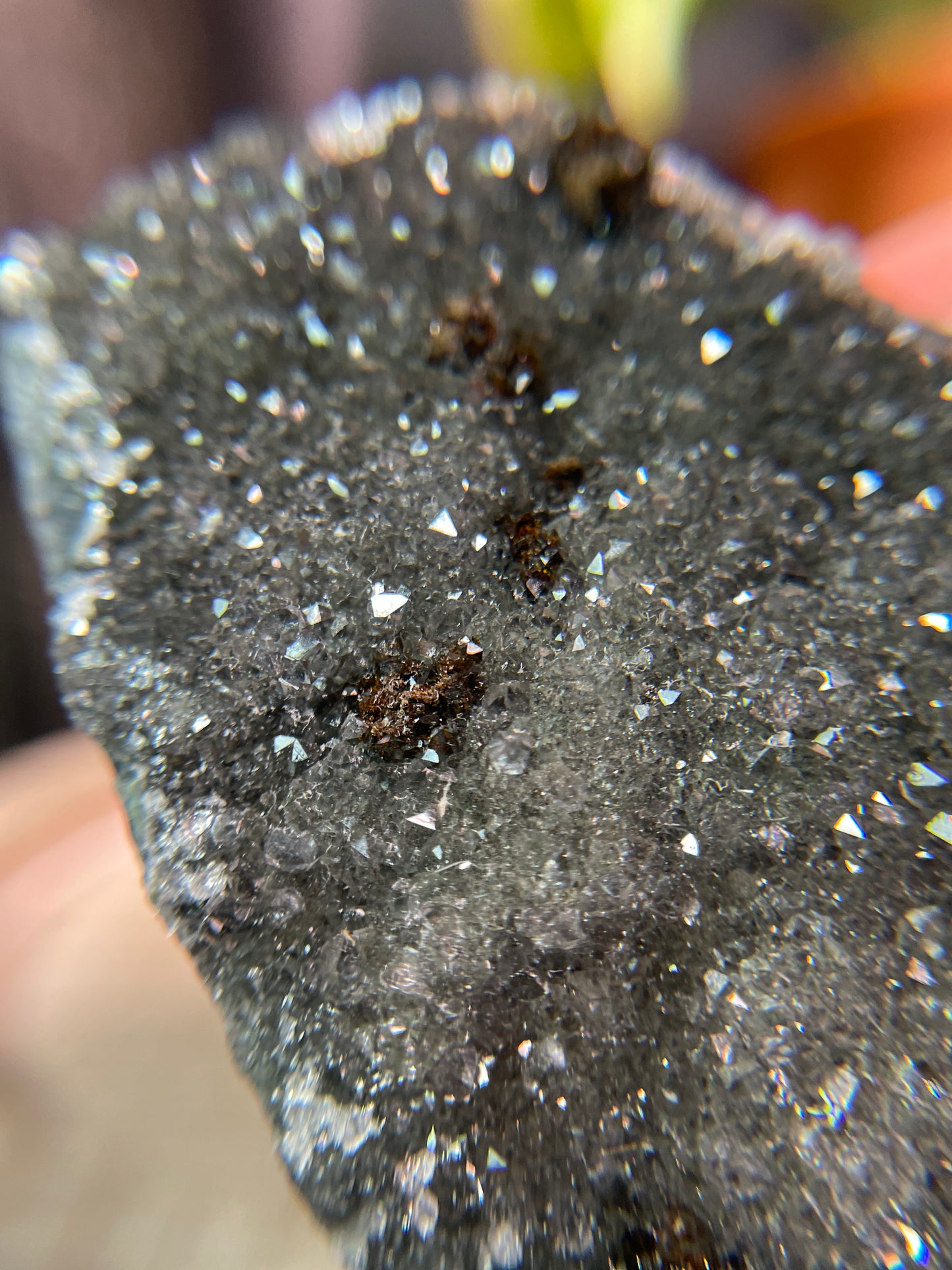 Amethyst Cut Base | Uruguay | BF22