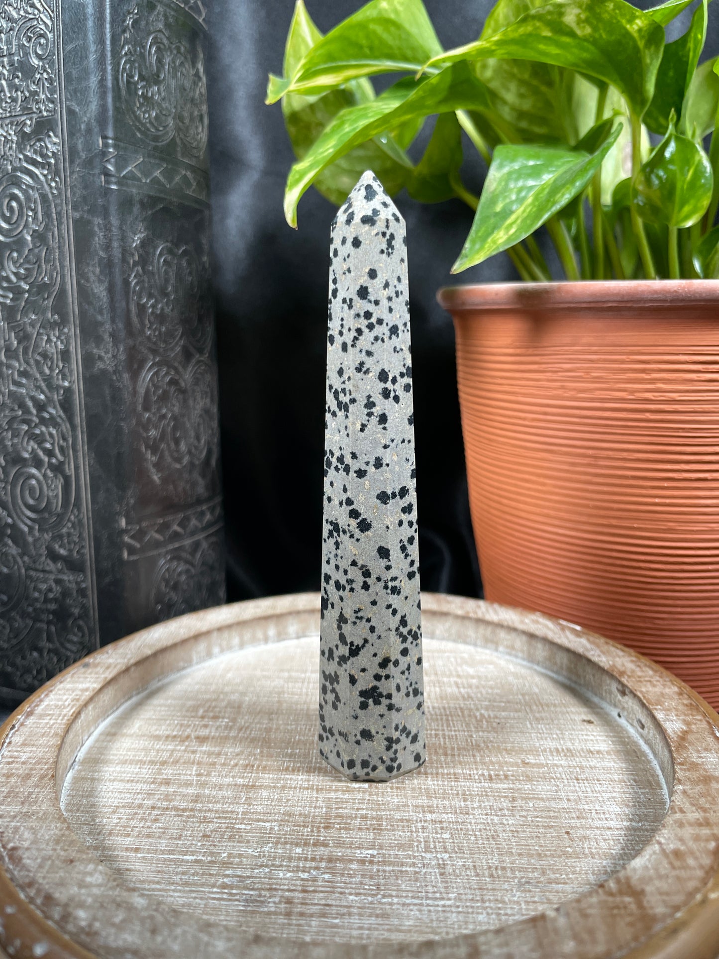 Dalmatian Jasper Point | A18
