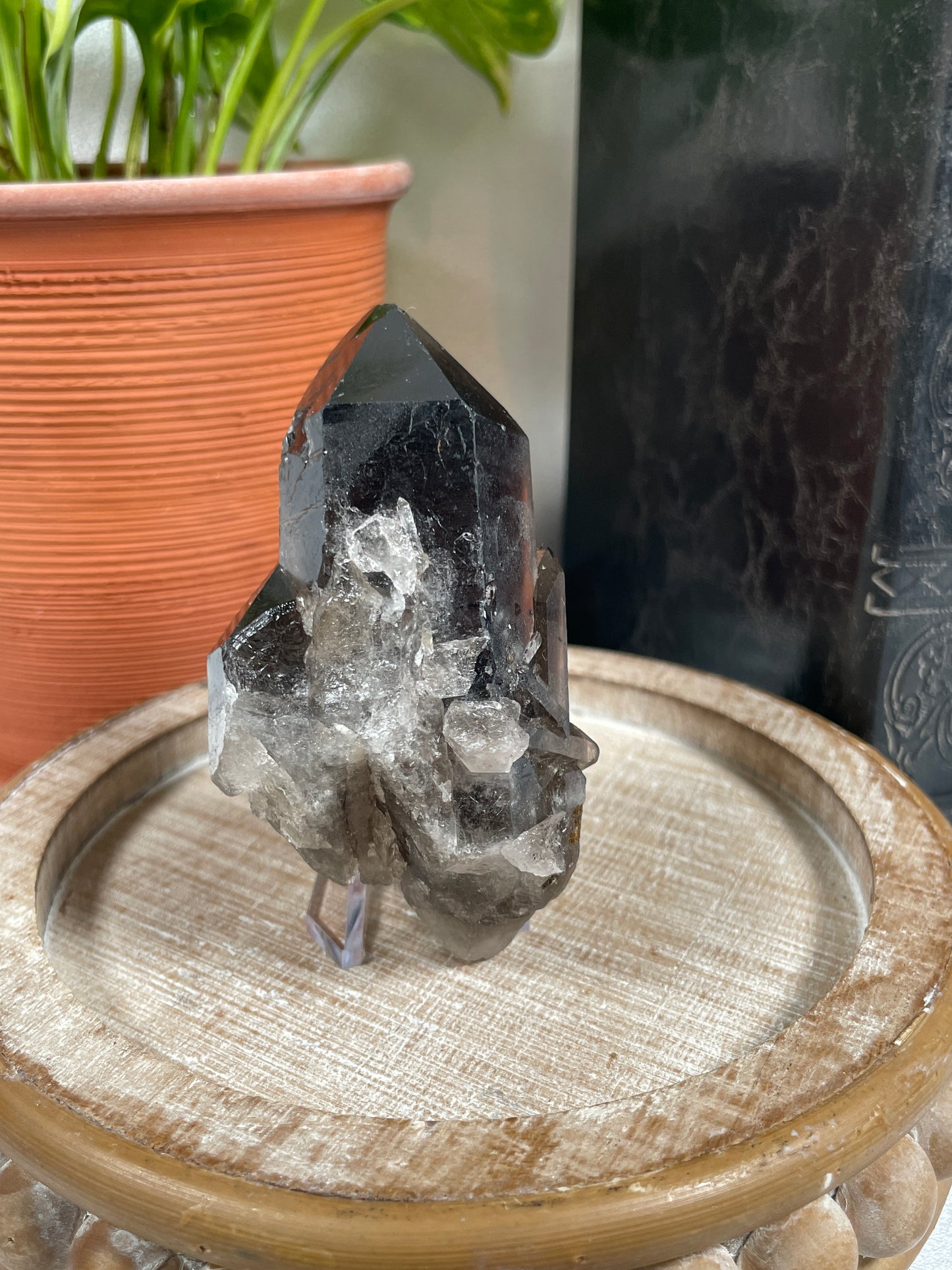 Smoky Quartz Cluster | Heat-Treated | C11