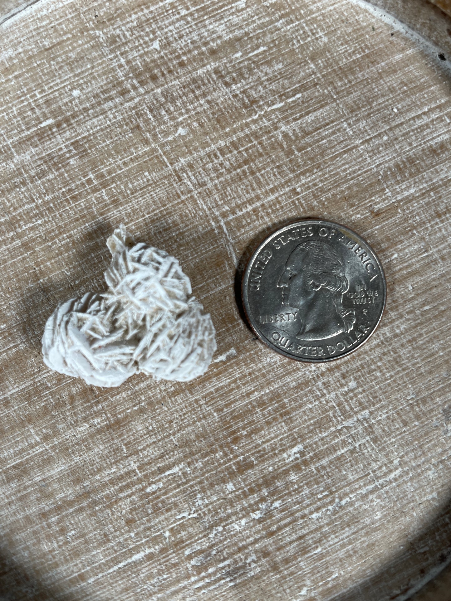 Desert Rose Selenite Specimen | Small