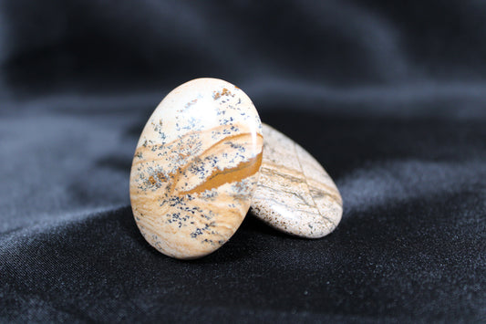 Picture Jasper Worry Stone