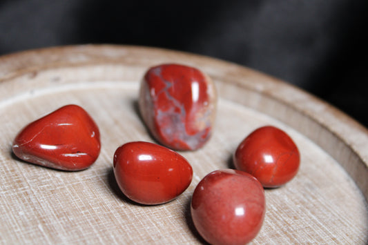 Red Jasper | Gridding Kit