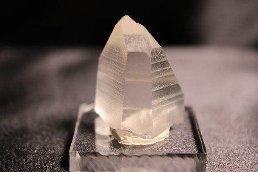 Columbian Lemurian | C15 w/stand