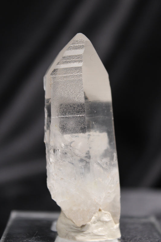 Columbian Lemurian | B36 w/stand