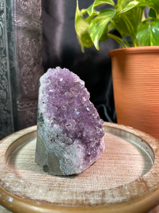 Amethyst Cut Base | Uruguay | BN20